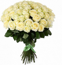 Розы Россия белые